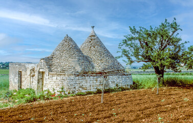 old trullis in Alberobello