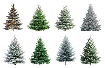 Fototapeta premium PNG Variety of snow-covered evergreens, element set on transparent background