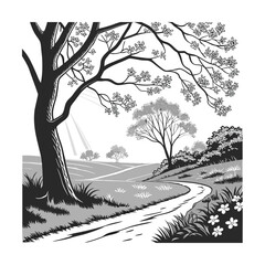 Serene woodland path illuminated by sunbeams through forest canopy isolated on transparent background