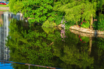 Fototapete bei efototapeten.de bestellen   