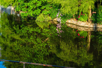 Fototapete bei efototapeten.de bestellen   