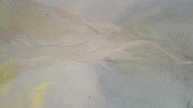 imagen cenital de un arroyo en la arena de la playa, fondo abstracto