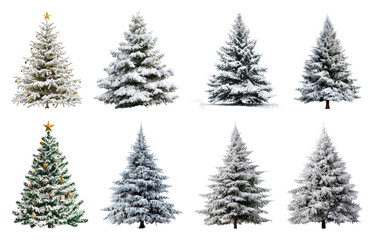 Obraz premium PNG Snowy evergreen trees collection, element set on transparent background