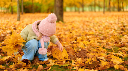 child gathers autumn leaves in park, surrounded by vibrant fall foliage. wearing cozy pink hat and...