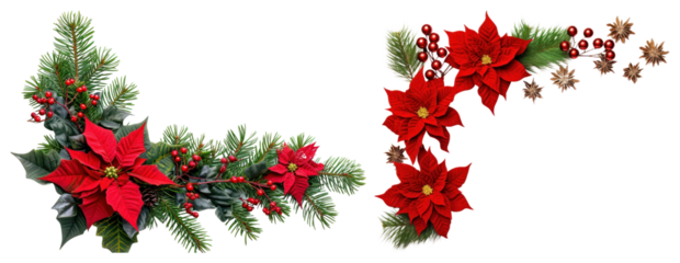PNG Festive poinsettia holiday decoration, element set on transparent background
