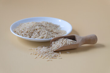 Raw Brown rice, uncooked and hulled in plate.