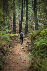 A determined woman (mid-30s) ascends a steep, narrow trail in a dense, green Mediterranean forest near Ojen, Malaga. Shot emphasizes effort, connection with nature, and the challenging terrain.