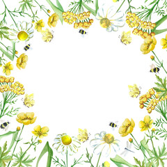 Watercolor frame with flowers and insects on a white background. Suitable for postcards, invitations, and labels.