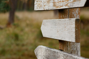 Richtungsschild im Wald mit Pfeilen - Foto 2