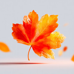 Hand painted watercolor maple leaf vintage fall foliage rustic botanical autumn art clip