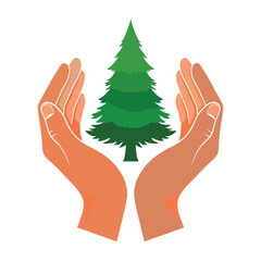 Two cupped hands protect a green fir tree with layered branches protecting