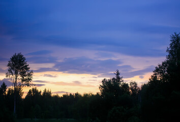 Fototapeta premium Rural landscape. Bare trees on evening sky background.