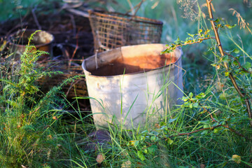 Fototapety na wymiar - Fototapeta24.pl