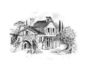 Italian villa with olive tree and cypresses and vineyards. Timber framing. Vector landscape. Ink sketch of the street. Hand drawn vintage illustration for book, emblem or print. 