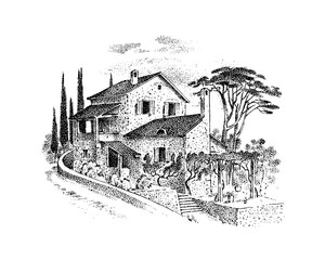 Italian villa with pine and cypress trees and vineyards. Timber framing. Vector landscape. Ink sketch of the street. Hand drawn vintage illustration for book, emblem or print. 