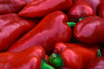 Red bell peppers on the farm. Nature food background.red sweet paprika harvest in the village. Organic peppers from garden. 