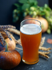 Craft pumpkin beer on the table. Green hops, wheat ears and a ripe orange pumpkin.