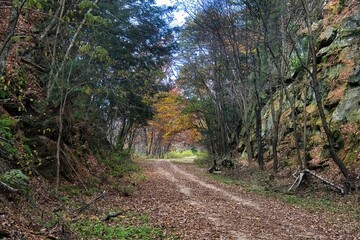 Autumn landscape of The 400 State Trail passing between large rock walls in a colorful forest near Reedsburg, Wisconsin.