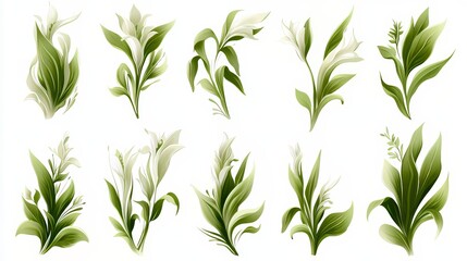 Fototapeta premium Set of green leaves with white flowers. The leaves are arranged in a row and are of various sizes