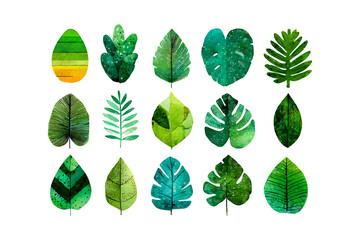 Collection of diverse green tropical leaves with translucent textures in organic arrangement isolated on transparent background