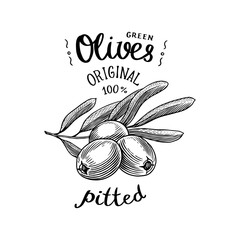 Olive oil and branch of trees logo. Organic vegetarian product in bottle. Green plant badge emblem patch sticker. Engraved hand drawn in old vintage sketch. Vector illustration.