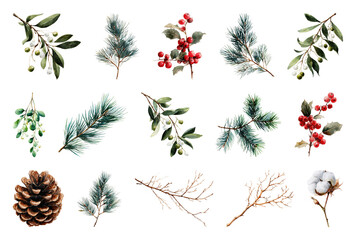 PNG Festive botanical winter elements, element set on transparent background