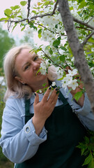 Obraz premium A portrait of a happy woman gardener, standing next to a blossoming apple tree, smiling, enjoying the pleasant scent of the flowers, and feeling happy.