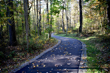 A black asphalt trail curves through a wooded area, bordered by trees with autumn foliage. Fallen...