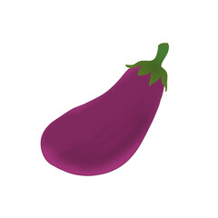 Eggplant illustration