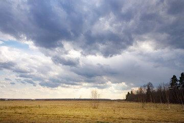 Fototapeta premium Cloudy sky with a tree in the middle of a field