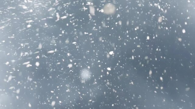 View of snowflakes falling in a very windy storm