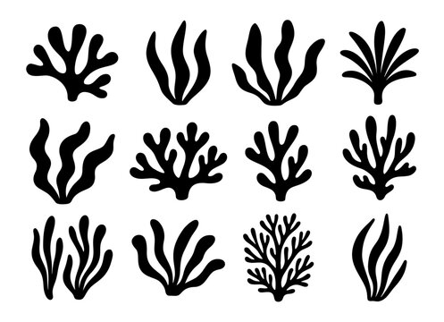 Seaweed coral silhouette black vector icon. Weed plant ocean reef fish underwater seaweed coral isolated design