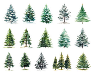 Fototapeta premium Diverse watercolor evergreen trees collection.