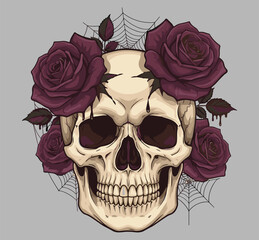 Gothic skull with purple roses, dark floral illustration, spooky spider web design, realistic bone anatomy, Halloween death and beauty concept