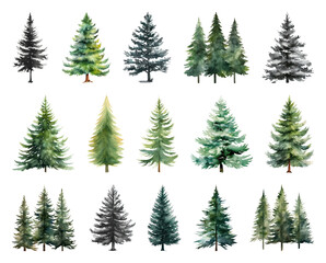 Obraz premium Diverse watercolor evergreen tree illustrations.