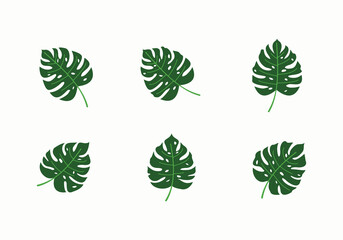 monstera deliciosa decorative leaf design collection