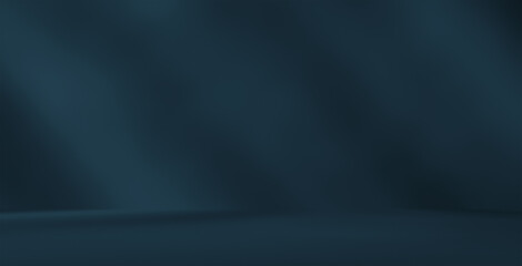 Empty dark blue gray room studio with shadow of leaves on concrete wall and floor for product presentation. Sunlight effect shadow. Minimal winter backdrop. Cosmetic, beauty and fashion showroom.