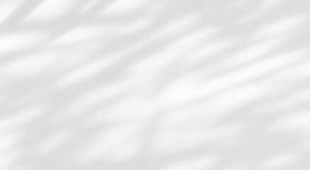 Shadow of leaves tree plant overlay on white wall. Sunlight effect shadow on the wall. Minimal blurred backdrop backgrounds. Summer tropical surface background.