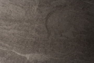 Abstract stone grey background. Grey wood texture.