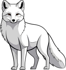 Realistic White Arctic Fox or Wolf Standing Illustration