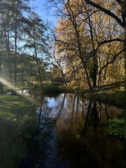 Scenic autumn landscape with a calm river, trees with golden leaves, and morning sunlight shining through branches. Peaceful nature scene ideal for seasonal design and relaxation themes.
