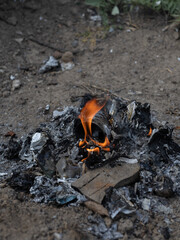 Campfire burning with trash and waste