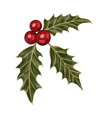 Watercolor Christmas Holly Branch with Red Berries, Hand Drawn