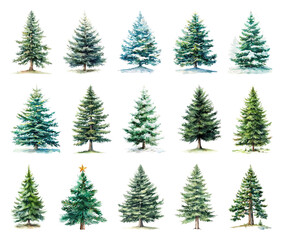 Obraz premium Watercolor evergreen trees collection.