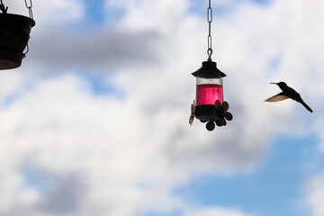 High-contrast silhouette of a hummingbird with blurred wings in flight. The bird approaches a feeder containing pink nectar. The background is a sky filled with white and gray clouds.