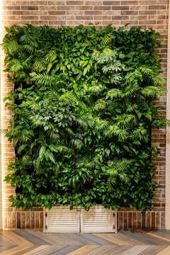 Vertical gardening with houseplants on the wall in the office and restaurant. Live green plants with lighting
