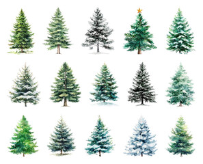 Fototapeta premium Watercolor evergreen trees winter collection.