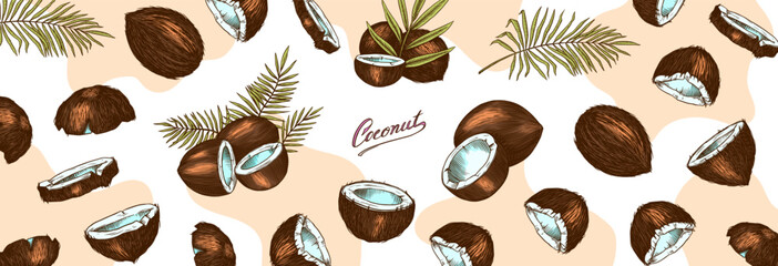 Coconut sketch. Tropical food and palm leaf. Retro ink style. Hand drawn vector illustration for market, menu, label. Organic product in ink and grunge style. 