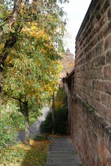 Trees At The City Walls In Nuremberg, Germany. 