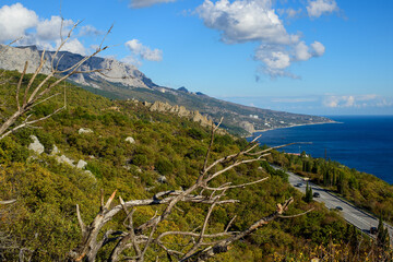 lake in the mountains in the summer